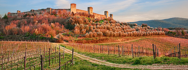 Via Francigena