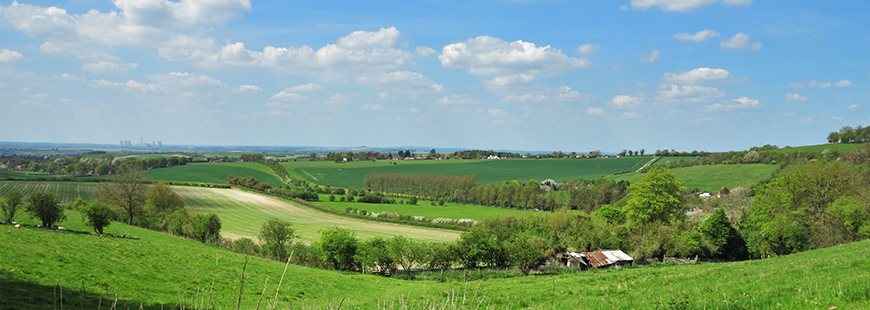 Chiltern Hills