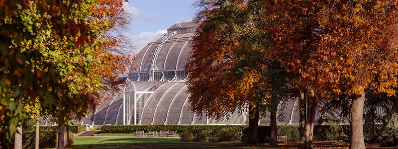 Kew Gardens